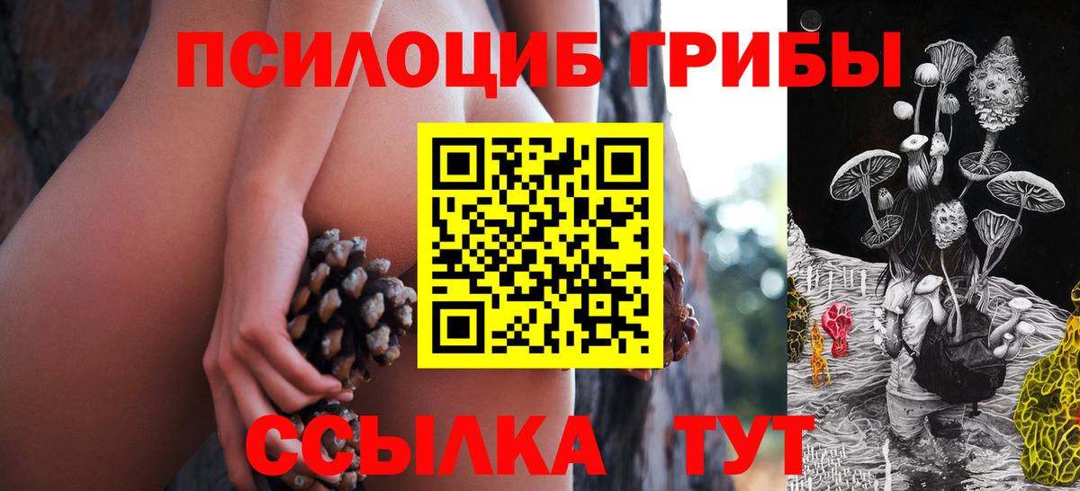 Псилоцибиновые грибы Psilocybe Краснодар